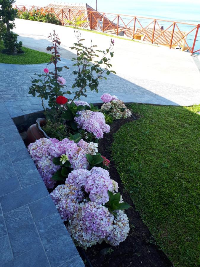 Casa Villa Dinastia Sotao Y Casa Villa Dinastia Miramar ริเบรา บราวา ภายนอก รูปภาพ