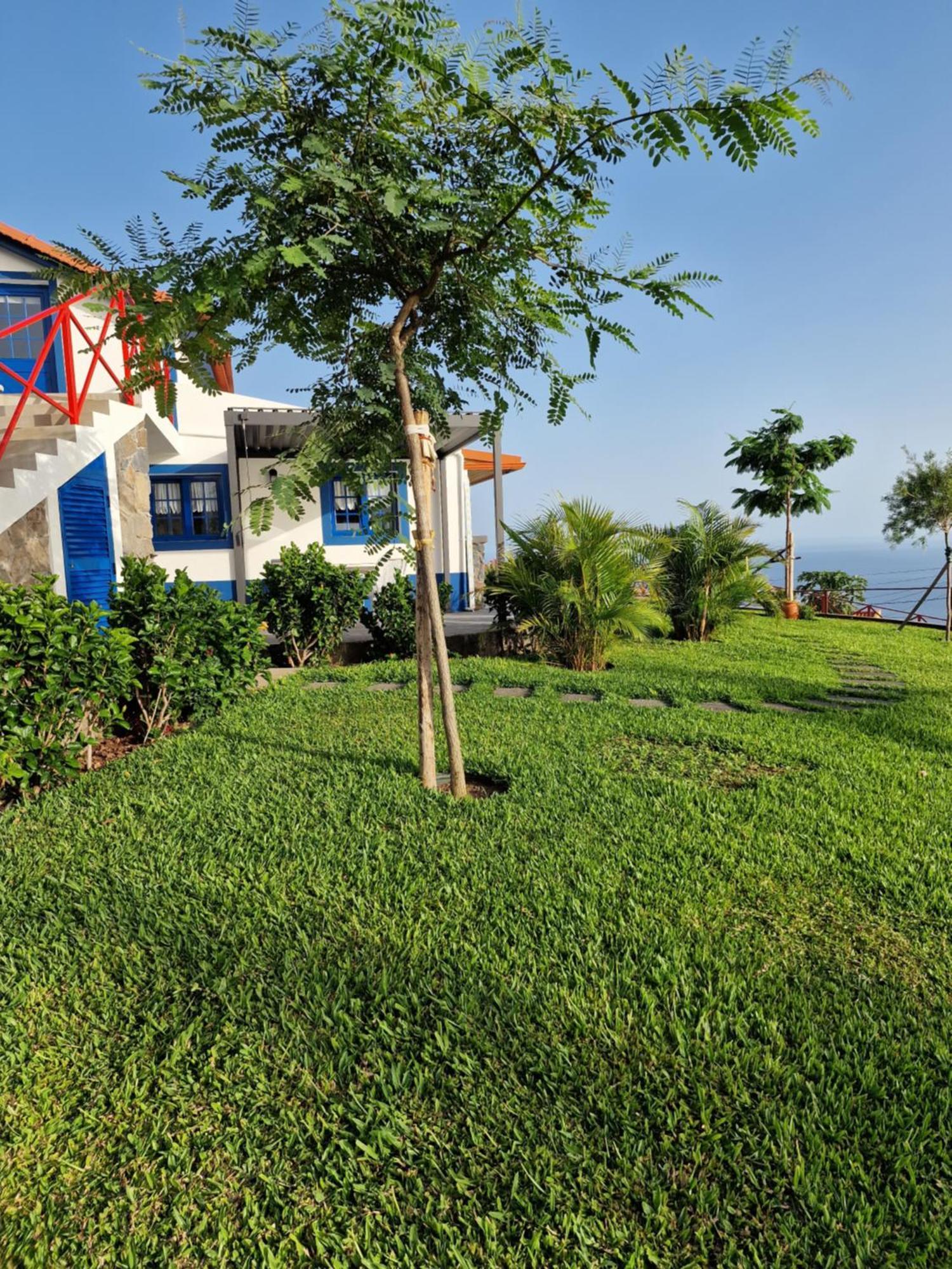 Casa Villa Dinastia Sotao Y Casa Villa Dinastia Miramar ริเบรา บราวา ภายนอก รูปภาพ