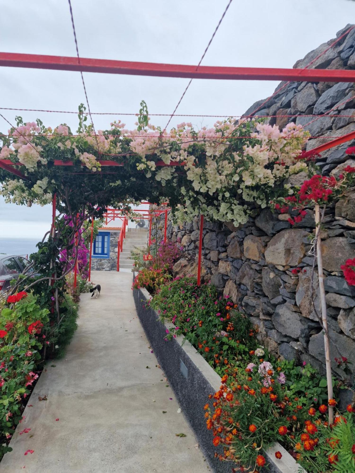 Casa Villa Dinastia Sotao Y Casa Villa Dinastia Miramar ริเบรา บราวา ภายนอก รูปภาพ